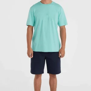 Short chino Essentials | Outer Space