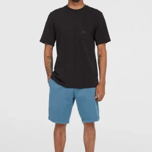 Short chino Essentials | Copen Blue