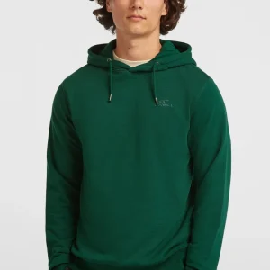 Sweat à capuche Small Logo | Emerald Envy