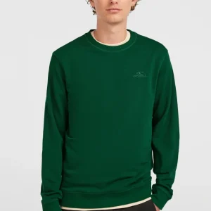 Sweatshirt à col rond Small Logo | Emerald Envy