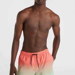 Short de bain Jack O'Neill Cali Gradient 15'' | Living Coral Simple Gradient Panel