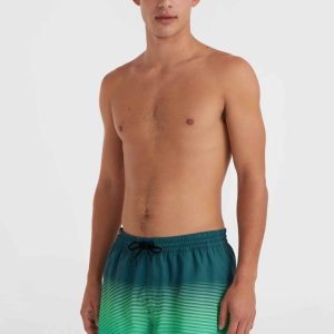 Short de bain Jack O'Neill Cali Gradient 15'' | Beetle Juice Simple Gradient Panel