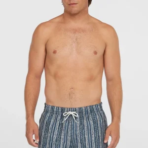 Short de bain Cali Print 15'' | Blue Pressed Lines