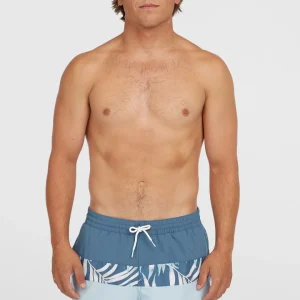 Short de bain Cali Block15'' | Blue Dipped Leaves