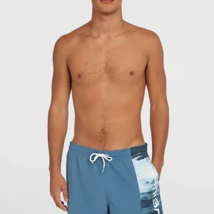 Short de bain Retro 19'' | Blue Melted Texture