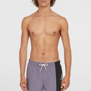 Short de bain Retro 19'' | Storm Colour Block