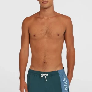 Short de bain Retro 14'' | Alma Steel Colour Block