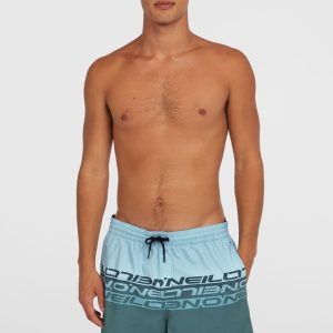 Short de bain Cali Stripe 16 | Blue Upside Down