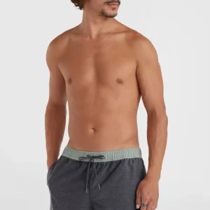 Short de bain O’Riginals Volley 16 | Graphite