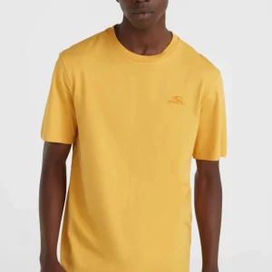 T-shirt O'Neill Small Logo | Golden Haze