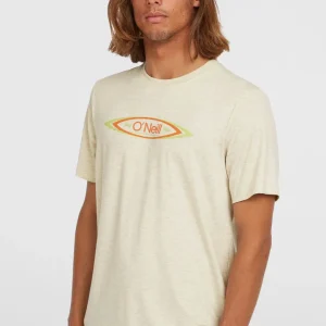 T-shirt O'Riginals Hybrid Polygiene Graphic | Atmosphere