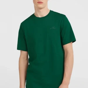T-shirt Small Logo | Emerald Envy