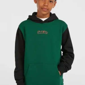 Sweat à capuche FWC'Play | Emerald Envy Colour Block