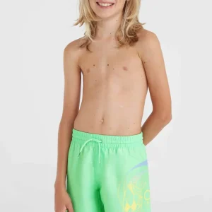 Short de bain Circle Surfer 14 | Neon Green Circle Surfer Gradient Panel