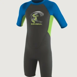 Reactor-2 2mm Back Zip Shortsleeve Spring Wetsuit | GR Grey