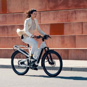 Riese & Müller - Homage