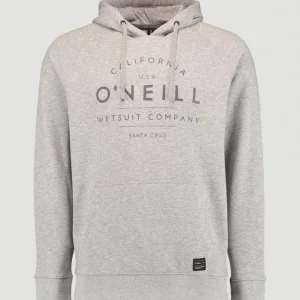 Sweat Capuche O'Neill | Silver Melee -A