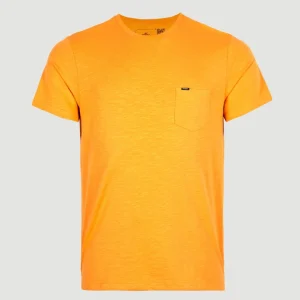 Tee-Shirt Jack's Base | Nugget