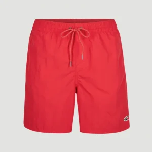 N03200_3120_10_PACK_8162b293-a4a5-4eca-a059-c56428962a89.jpgv1759301063 Short de bain Vert 16'' | Plaid