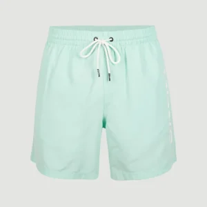 Short De Bain Cali | Beach Glass