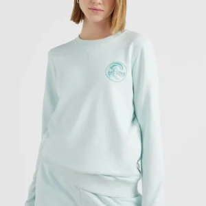 Circle Surfer Crew Sweatshirt | Whispering Blue