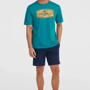 N2700005_15011_01_MODEL.jpgv1746633217 Short de survêtement Small Logo | Ink Blue