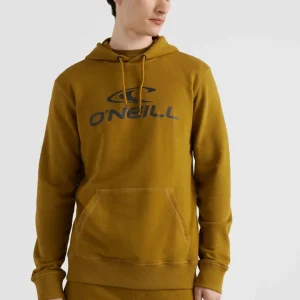 Sweat à capuche O'Neill Logo | Plantation