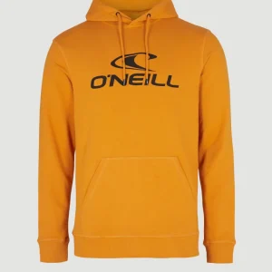 Sweat à capuche O'Neill Logo | Nugget