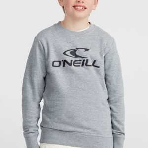 Sweatshirt à col rond O'Neill Logo | Silver Melee