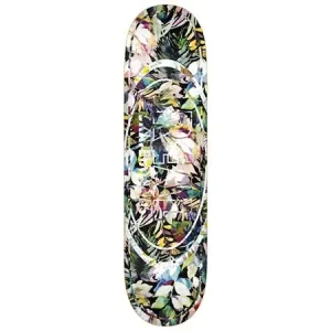 Real Tropical Dream Oval 8.5″ Planche De Skateboard